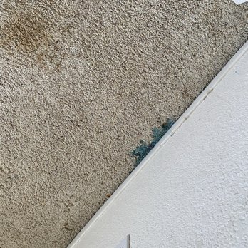 Jimenez Low Cost Carpet Cleaning - Felipe Jimenez says this is slime like all hardened from a child's toy. Yuck! Blue & red are hardest to remove. He was willing to try. - Carpet Cleaning Near Me