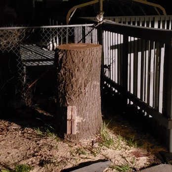 AVR Tree Service - Tree Services Near Me