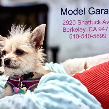 The Model Garage - The most wonderful Frida! - Auto Repair Near Me - Berkeley, California The Model Garage - The most wonderful Frida! - Auto Repair Near Me - Berkeley, California