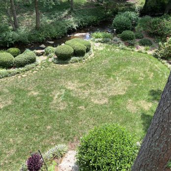 Weed Man - 8/2021 worsening brown patches - Lawn Services Near Me - Suwanee, Georgia