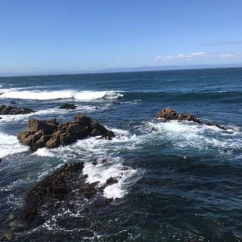Otter Cove - Beaches Near Me - Pacific Grove, California
