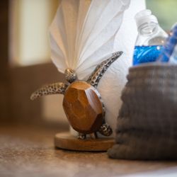 Aloha Aku Inn & Suites - It's all in the details