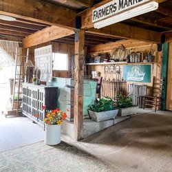 Wild Daisy Farm and B & B