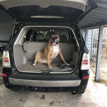 LA Dog Training Solutions - He actually can go on rides with me now! Thanks - Pet Training Near Me