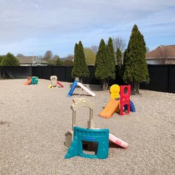 Go Fetch Ripon - Do you need travel products for your pets? Go Fetch Ripon will deliver everything from food and supplements to treats, clothi...