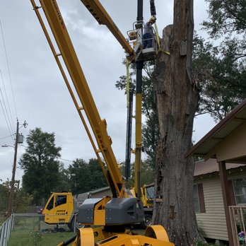 Ford’s Tree Work - Tree removal with a crane - Tree Services Near Me