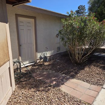 Diamond Tree Service - Side of the house towards the garage door - Tree Services Near Me