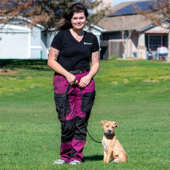 K9 Courage - K9 Courage Dog Trainer Lily With Pitbull Puppy Chopo in for his Basic Obedience. - Pet Training Near Me - Manteca, California K9 Courage - K9 Courage Dog Trainer Lily With Pitbull Puppy Chopo in for his Basic Obedience. - Pet Training Near Me - Manteca, California