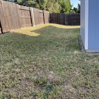 Cruz Landscaping Services - a yard with a fence and a shed - Fences & Gates Near Me Cruz Landscaping Services - a yard with a fence and a shed - Fences & Gates Near Me