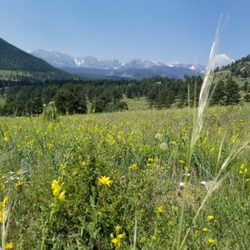 Rocky Mountains Property Services