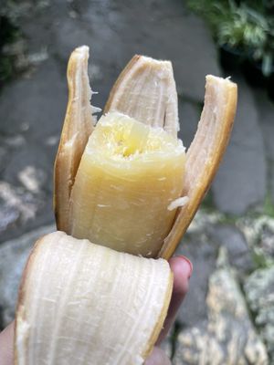 Tam-awan Village by null