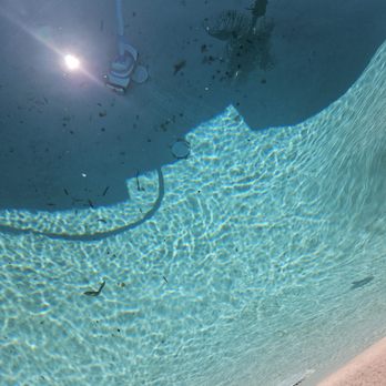 Crystal Clear Pool Service - right after the pool guy left and the head office didn't believe me - Pool Cleaners Near Me - Yuma, Arizona Crystal Clear Pool Service - right after the pool guy left and the head office didn't believe me - Pool Cleaners Near Me - Yuma, Arizona