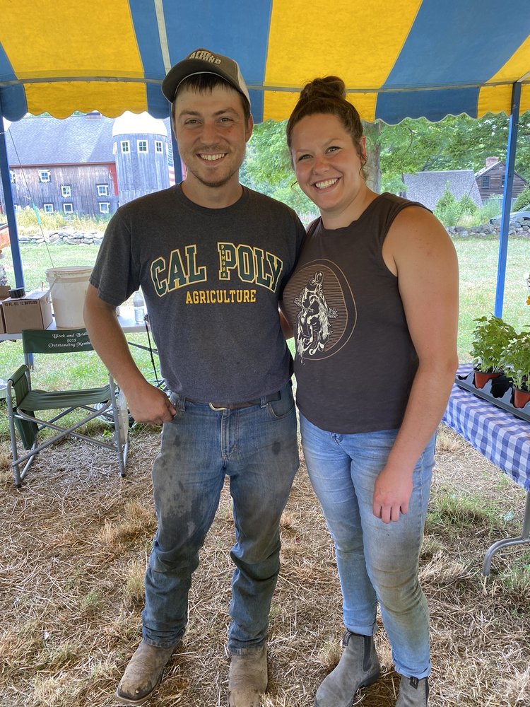 TOWNLINE FARM WOODBRIDGE CT Updated September 2024 23 Photos 902