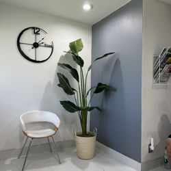 Happy Family Dental Care - I want this plant at my house! Such a cute waiting area