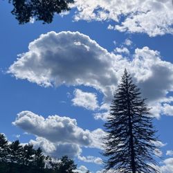 Saco River Hideaway Campground - Views were beautiful