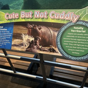 Adventure Aquarium - Hippo Info - Aquariums Near Me - Camden, New Jersey Adventure Aquarium - Hippo Info - Aquariums Near Me - Camden, New Jersey