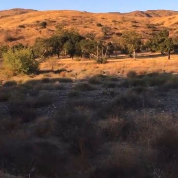 Irvine Regional Park - Parks Near Me - Orange, California Irvine Regional Park - Parks Near Me - Orange, California