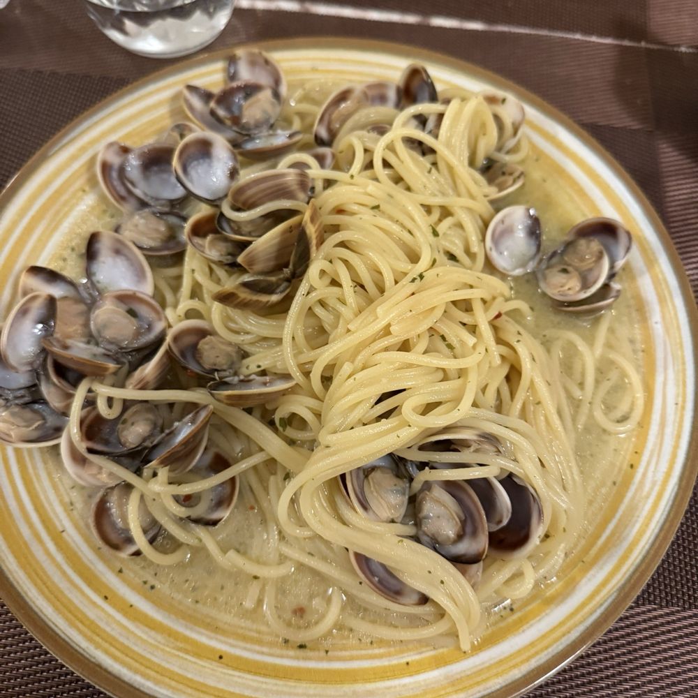 Il Micio - Spaghetti Vongole - Italian Near Me - Florence, FI Il Micio - Spaghetti Vongole - Italian Near Me - Florence, FI