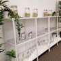Photo of Life of Kratom