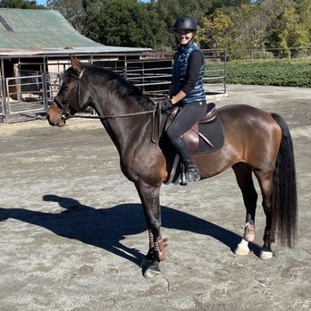 Nessa Cossentine Equestrian - Student with her lease horse. - Horse Boarding Near Me - Portola Valley, California Nessa Cossentine Equestrian - Student with her lease horse. - Horse Boarding Near Me - Portola Valley, California