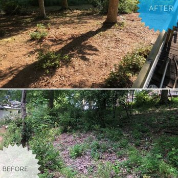 Hyco Helping Hands - Tree Services Near Me Hyco Helping Hands - Tree Services Near Me