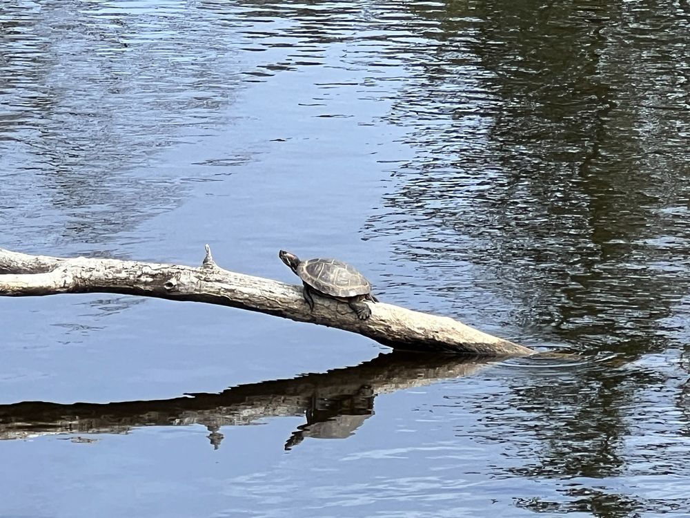 Johnston Memorial Park