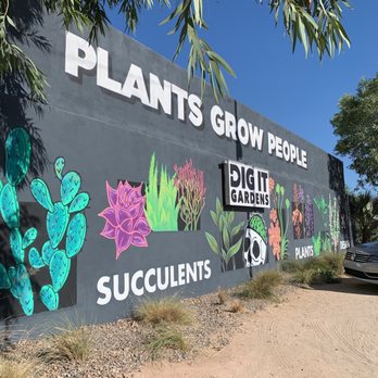 Dig It Gardens - First time and I'll be back! - Nurseries & Gardening Near Me - Phoenix, Arizona