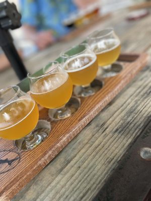 Dogfish Head Milton Brewery by null