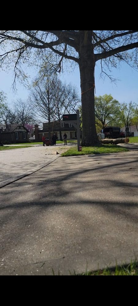 AAA & D Tree Service - tree service in eureka, MO