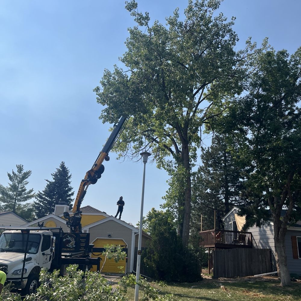 Limb Walkers Tree Service - Tree Services Near Me - Wheat Ridge, Colorado