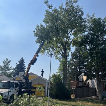 Limb Walkers Tree Service - Tree Services Near Me - Wheat Ridge, Colorado Limb Walkers Tree Service - Tree Services Near Me - Wheat Ridge, Colorado
