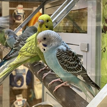PetSmart - Pet Groomers Near Me - SACRAMENTO, California