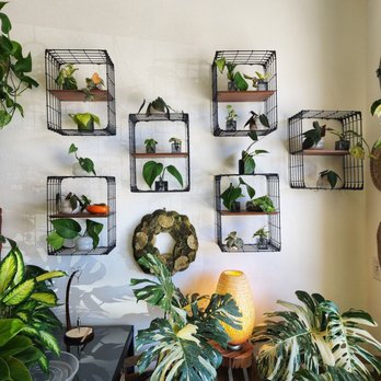 Rooting For You - Home Decor Near Me - Las Vegas, Nevada