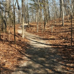 Pilot Knob Conservation Area - Mid Feb. 72 degrees