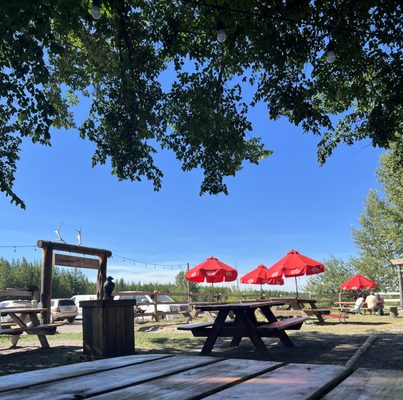 The Northern Lights Saloon by null