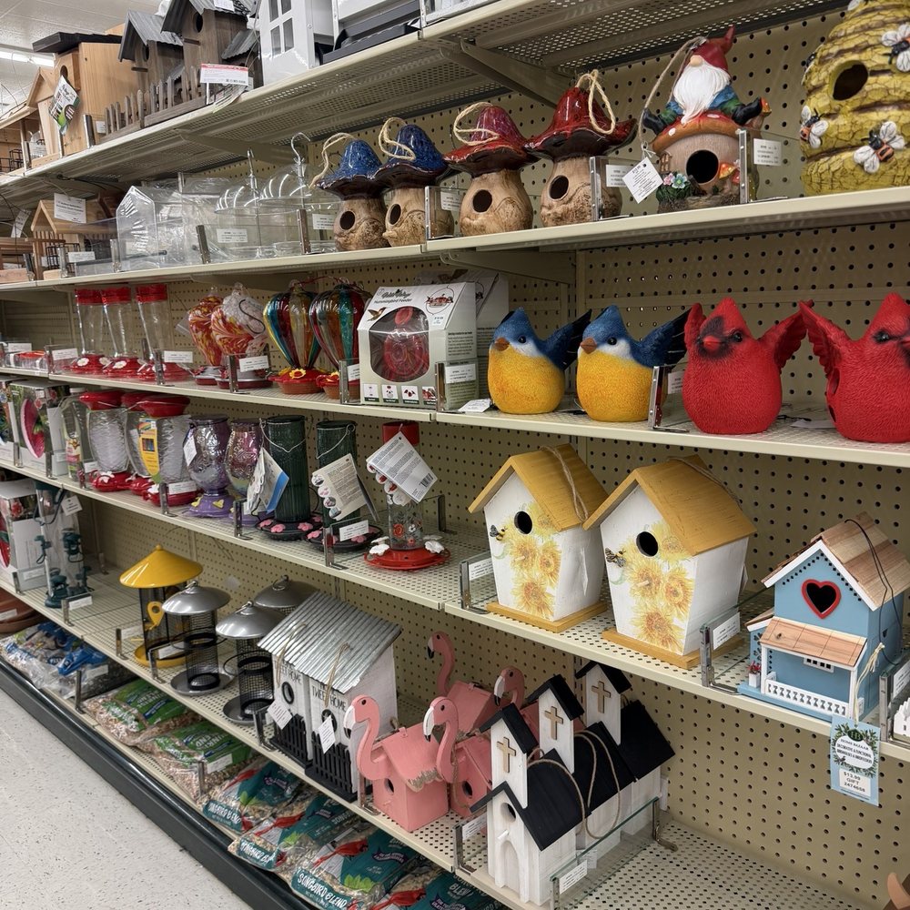 Hobby Lobby - Birdhouses - Arts & Crafts Near Me - Hinesville, Georgia Hobby Lobby - Birdhouses - Arts & Crafts Near Me - Hinesville, Georgia