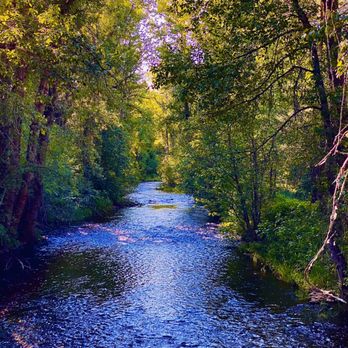 Running Horse - Bed & Breakfast Near Me - Huson, Montana
