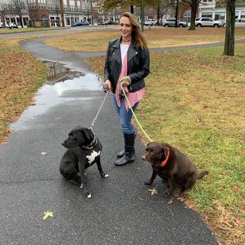 Kalyn's Critters - Walking Bailey & Chief! - Pet Sitting Near Me Kalyn's Critters - Walking Bailey & Chief! - Pet Sitting Near Me