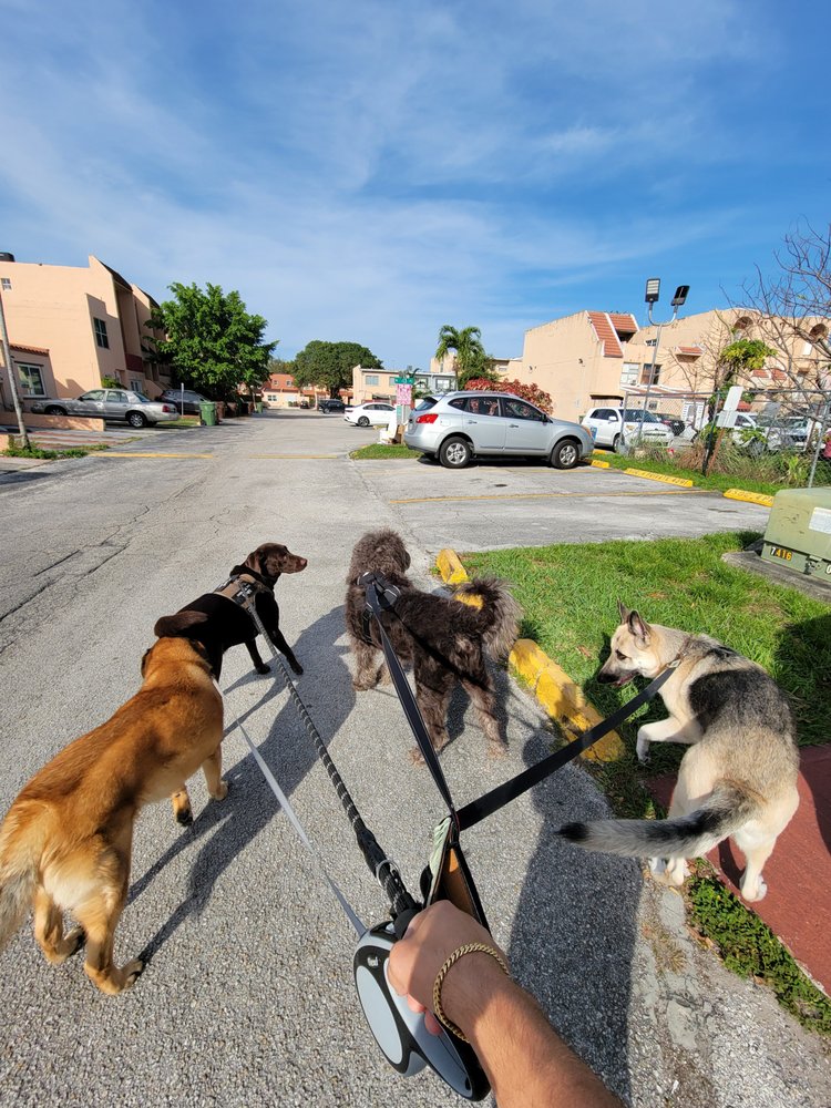 Friendly Pet - pet boarding facility in Hialeah, FL