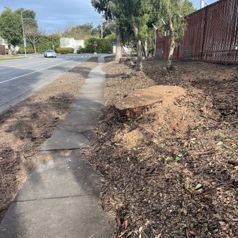 Nate's Tree Service - Chopping down trees in Fremont, CA! - Tree Services Near Me - Sonora, California