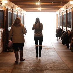 Flintrock Stables