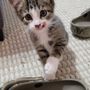 Photo of South Texas Veterinary Clinic