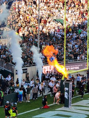 Michigan State University by null