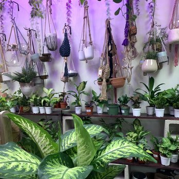 Tansy - Home Decor Near Me - Burbank, California Tansy - Home Decor Near Me - Burbank, California