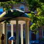 Photo of Tony Hall & Associates