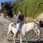 The Horse Connect
