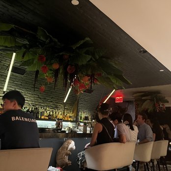 Thyme Bar - Cocktail Bars Near Me - New York, New York Thyme Bar - Cocktail Bars Near Me - New York, New York