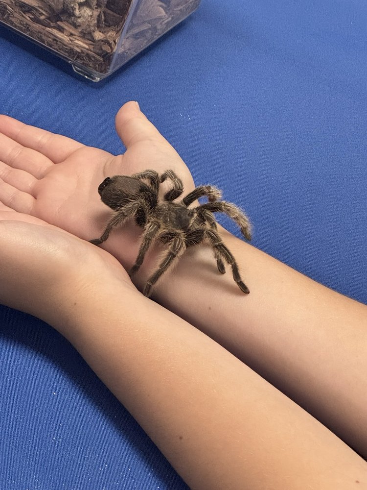 Social spots from Mr. Drew & his animals too