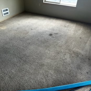 ASAP cleaning - Before Carpet Cleaning - Carpet Cleaning Near Me ASAP cleaning - Before Carpet Cleaning - Carpet Cleaning Near Me