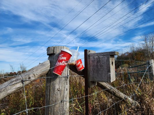 Rouge National Urban Park by null